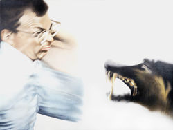 Wolf and I